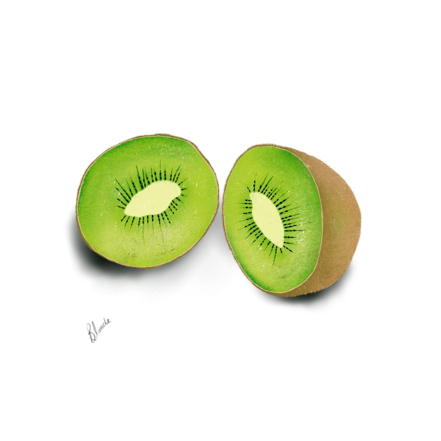 Fruit - image 1 - student project