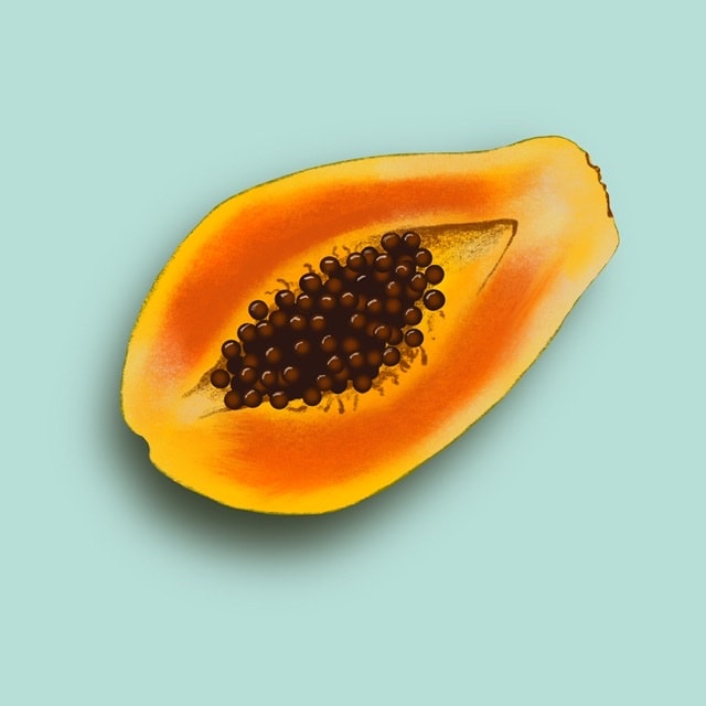 Fruit - image 3 - student project