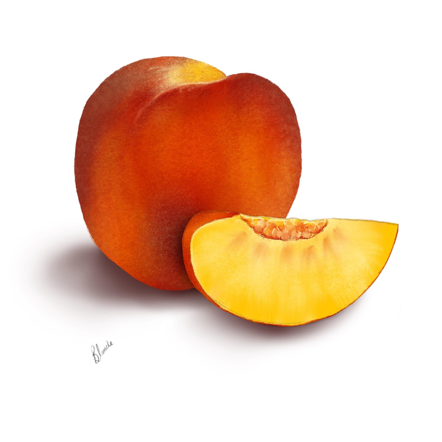 Fruit - image 2 - student project