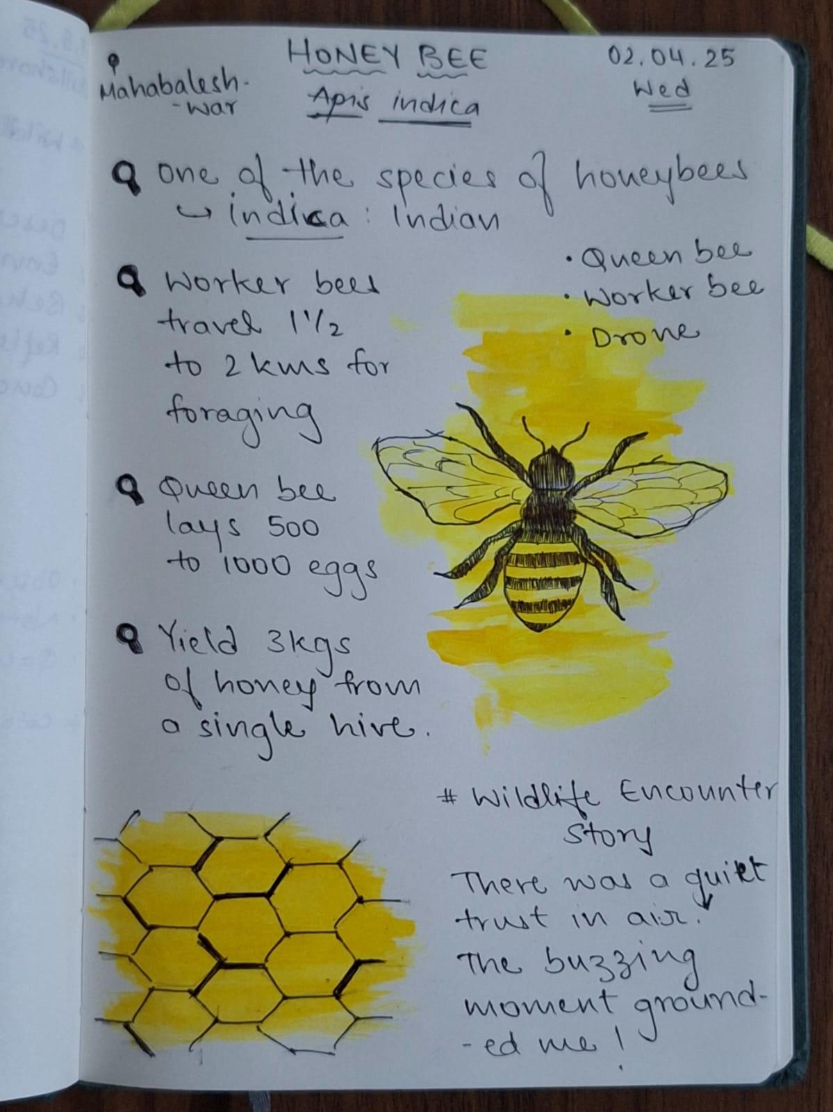 Wildlife Nature Journal - image 1 - student project