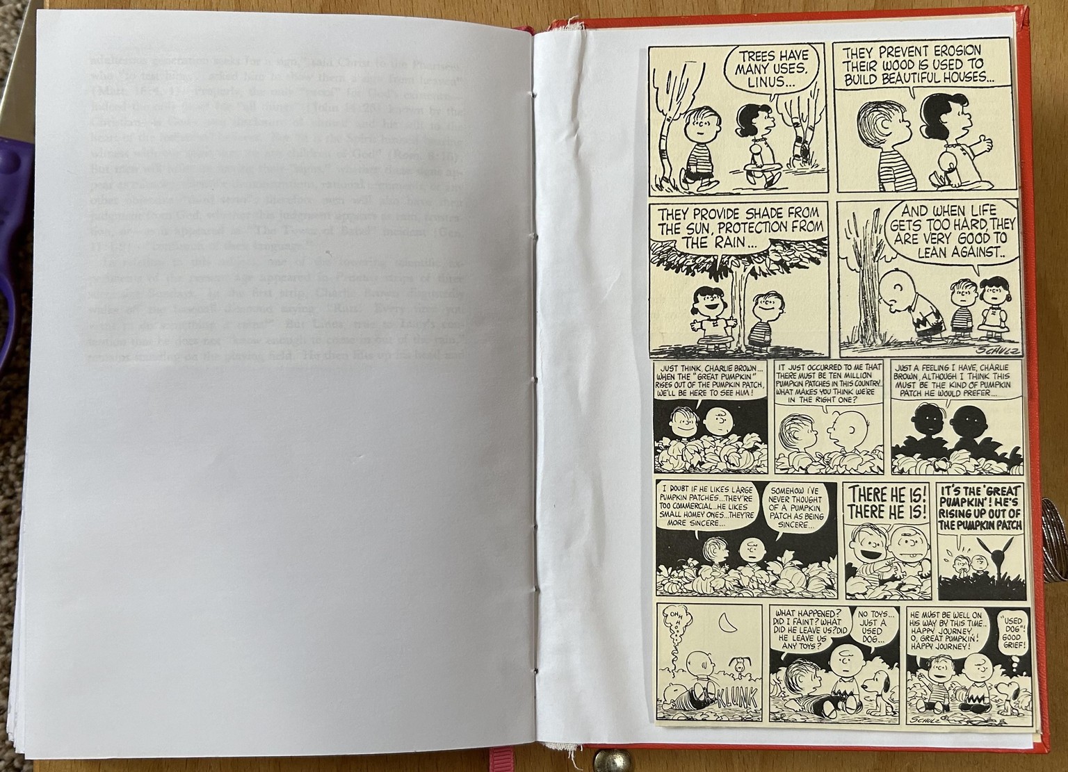 Peanuts - image 4 - student project