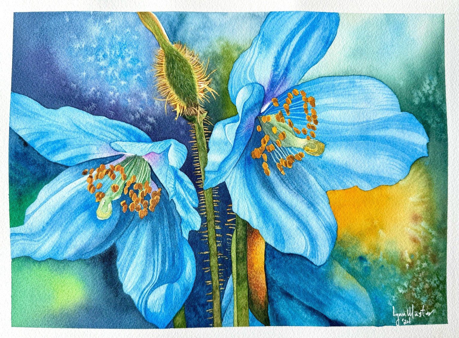 Blue Poppies - image 1 - student project