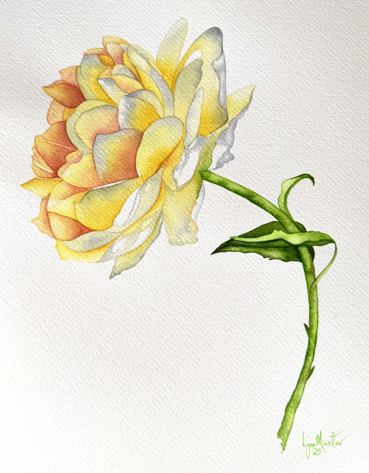 Watercolor Rose - image 1 - student project