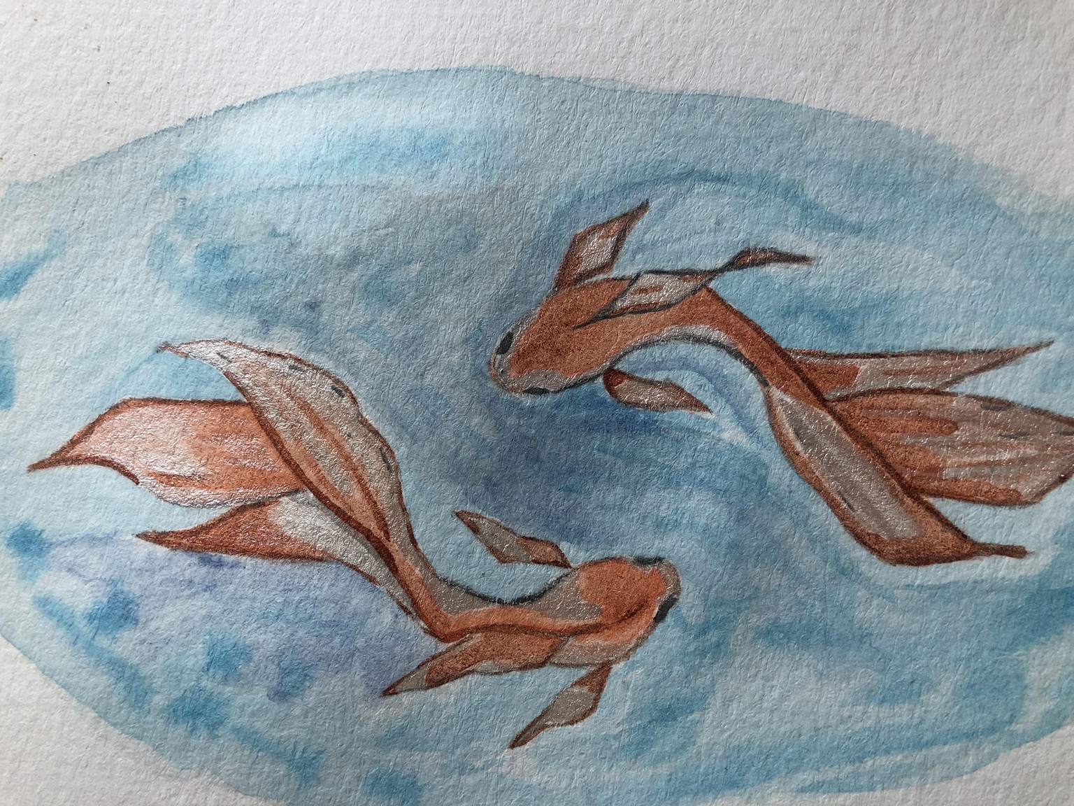 Koi - image 1 - student project