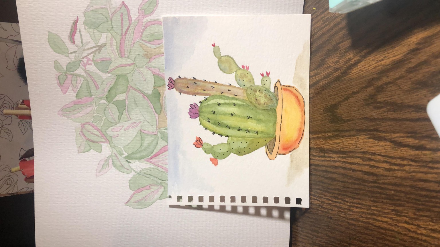 Cactus - image 2 - student project
