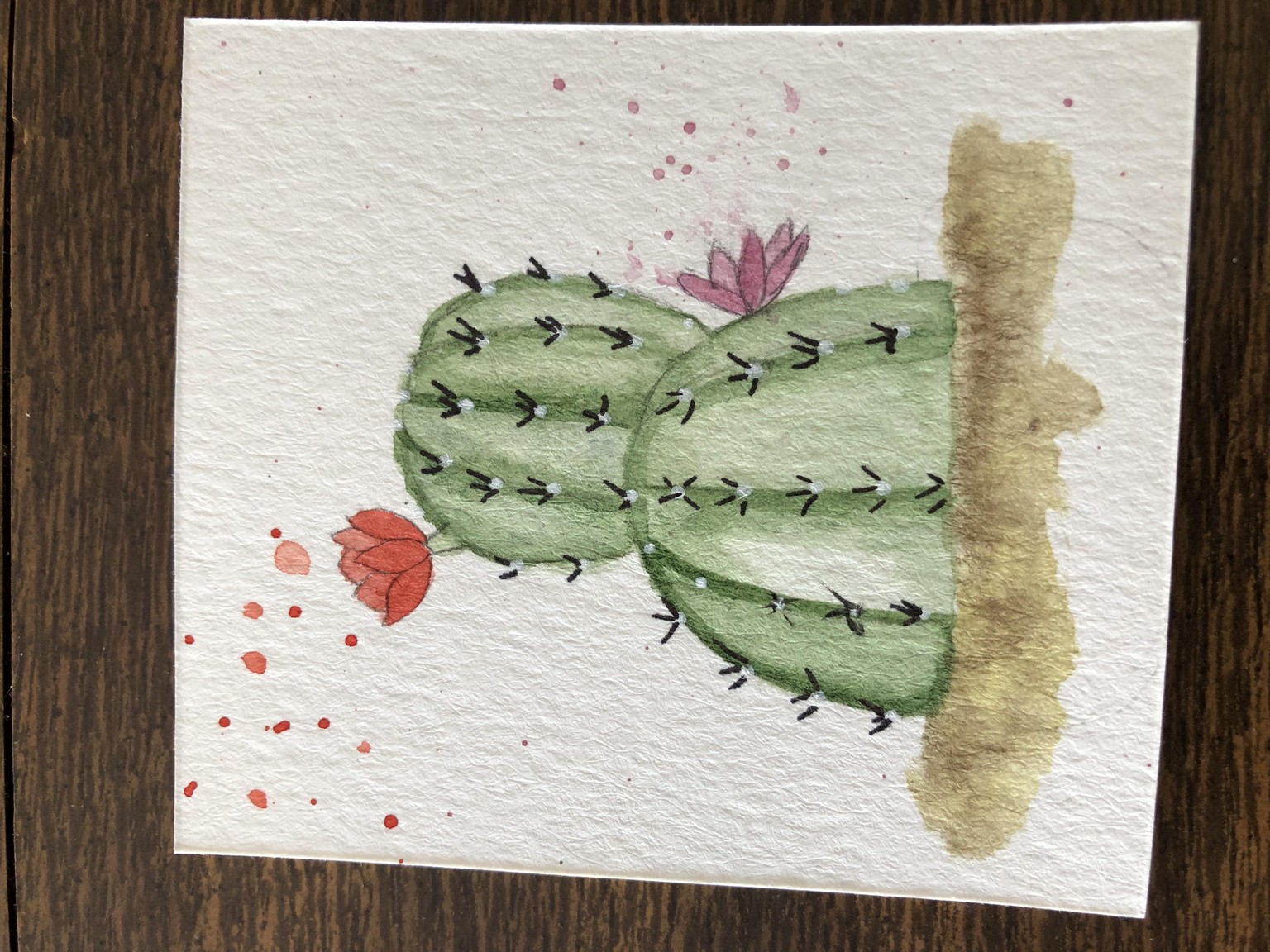 Cactus - image 1 - student project