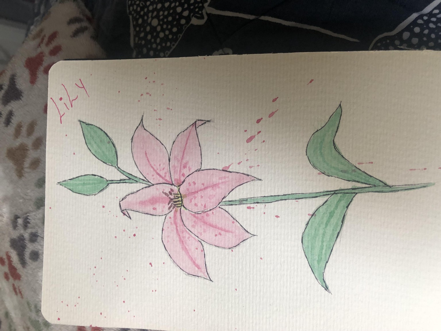 Lily - image 1 - student project