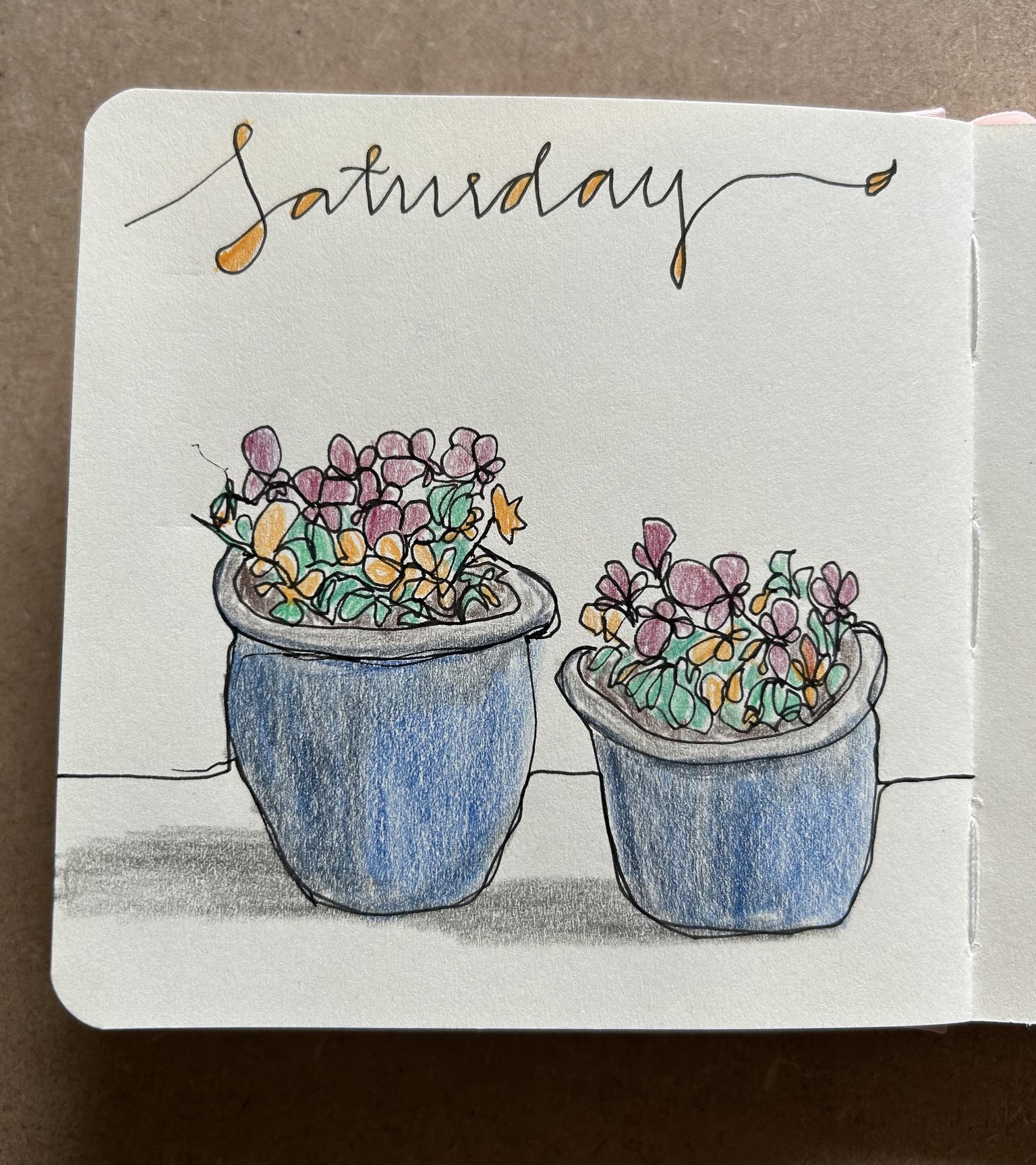 Pansies in pot - image 1 - student project