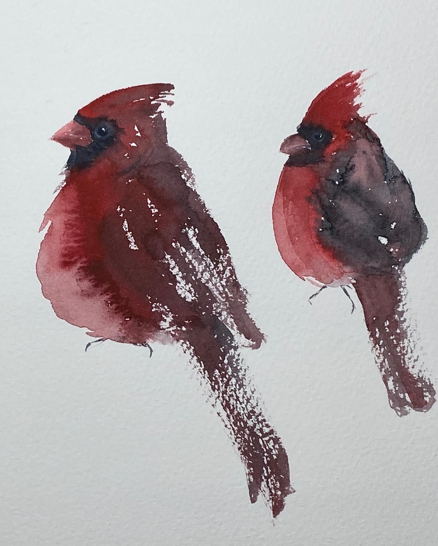 Red Cardinals - image 2 - student project