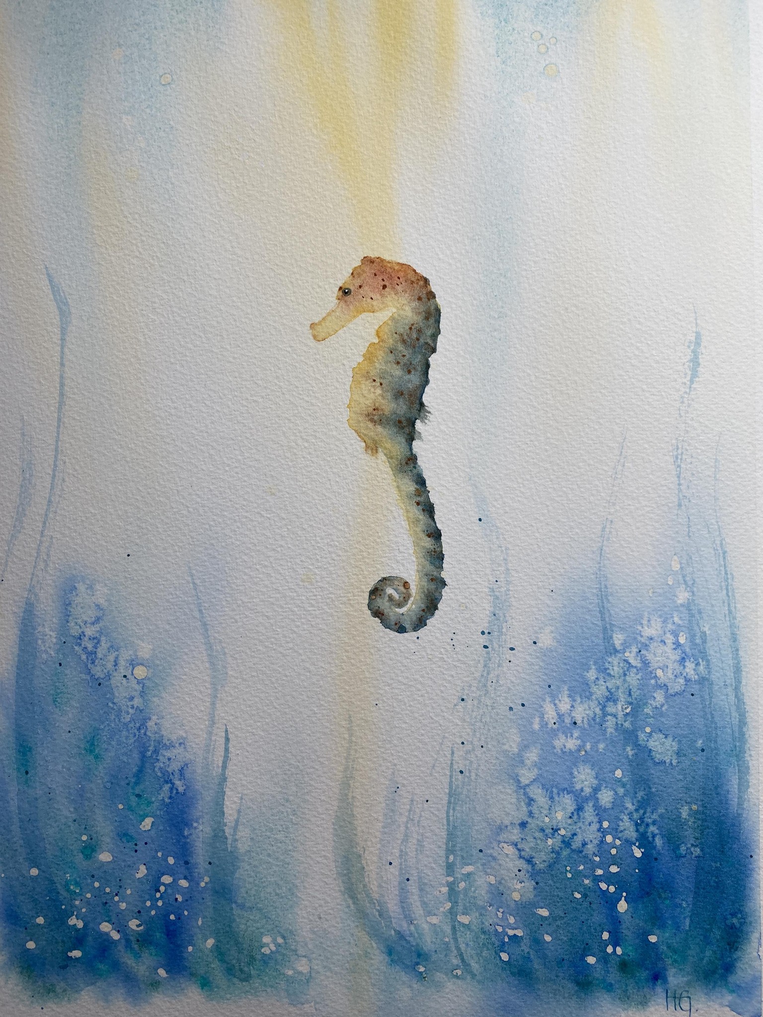 Little miss Seahorse - image 1 - student project