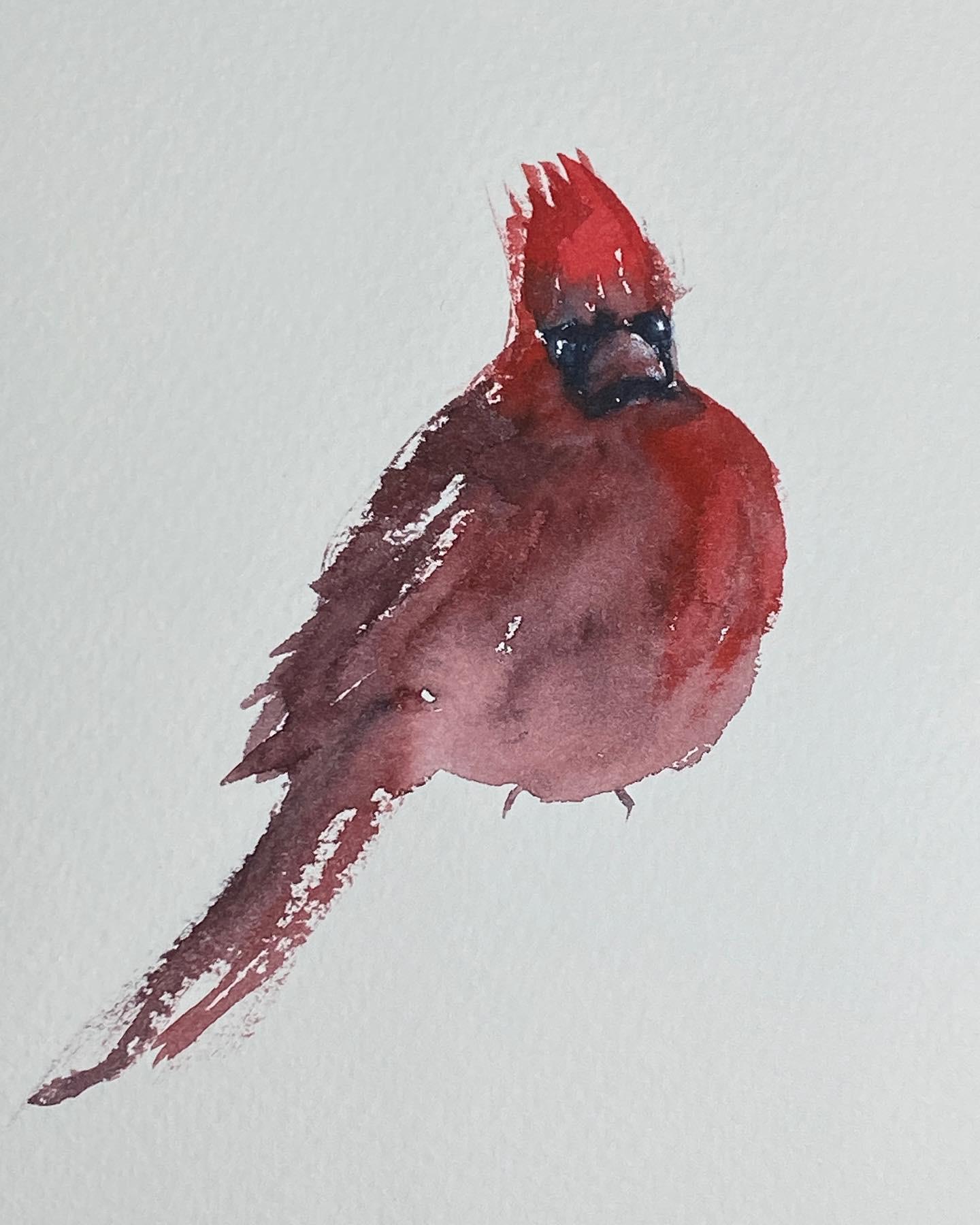 Red Cardinals - image 1 - student project