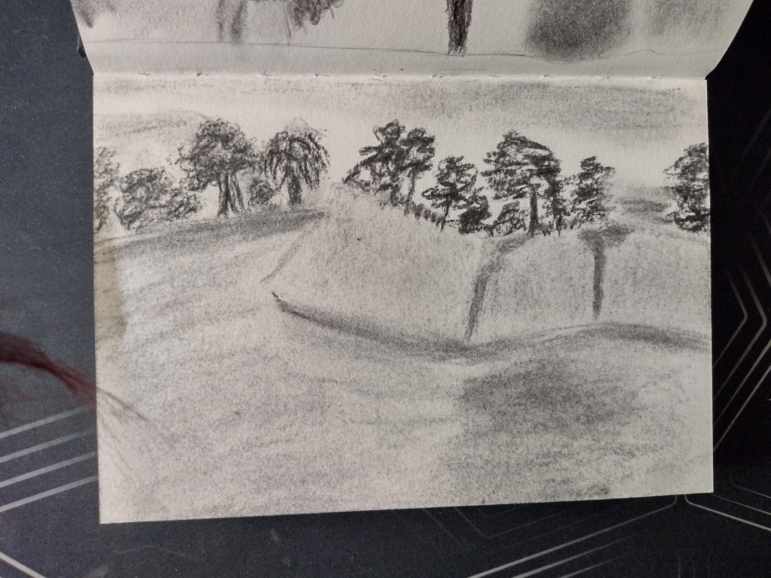 Charcoal Drawings - image 2 - student project