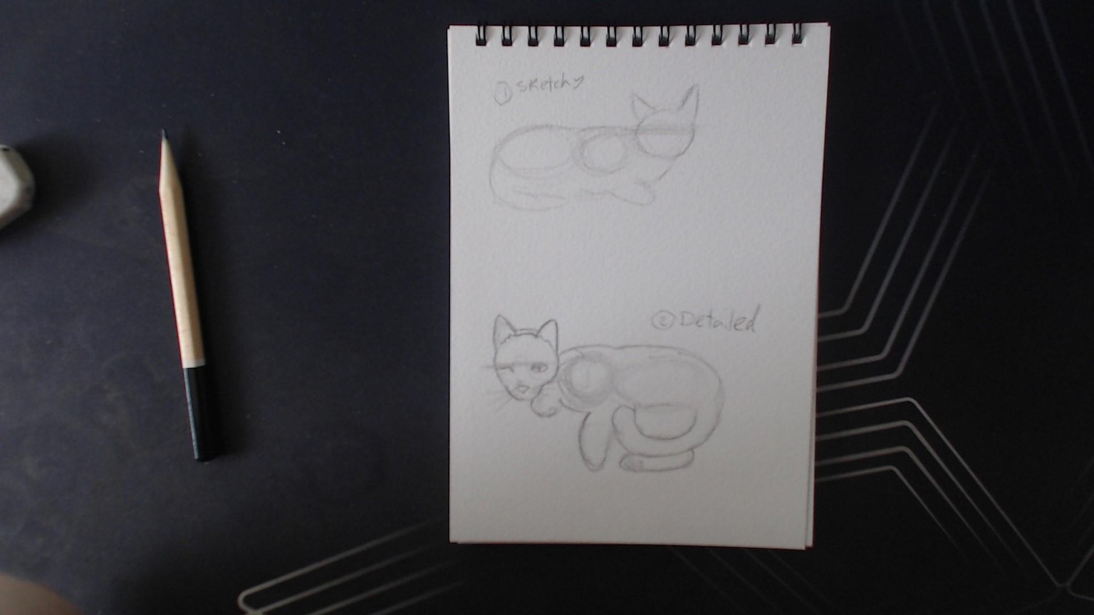 Cat Sketches - image 1 - student project