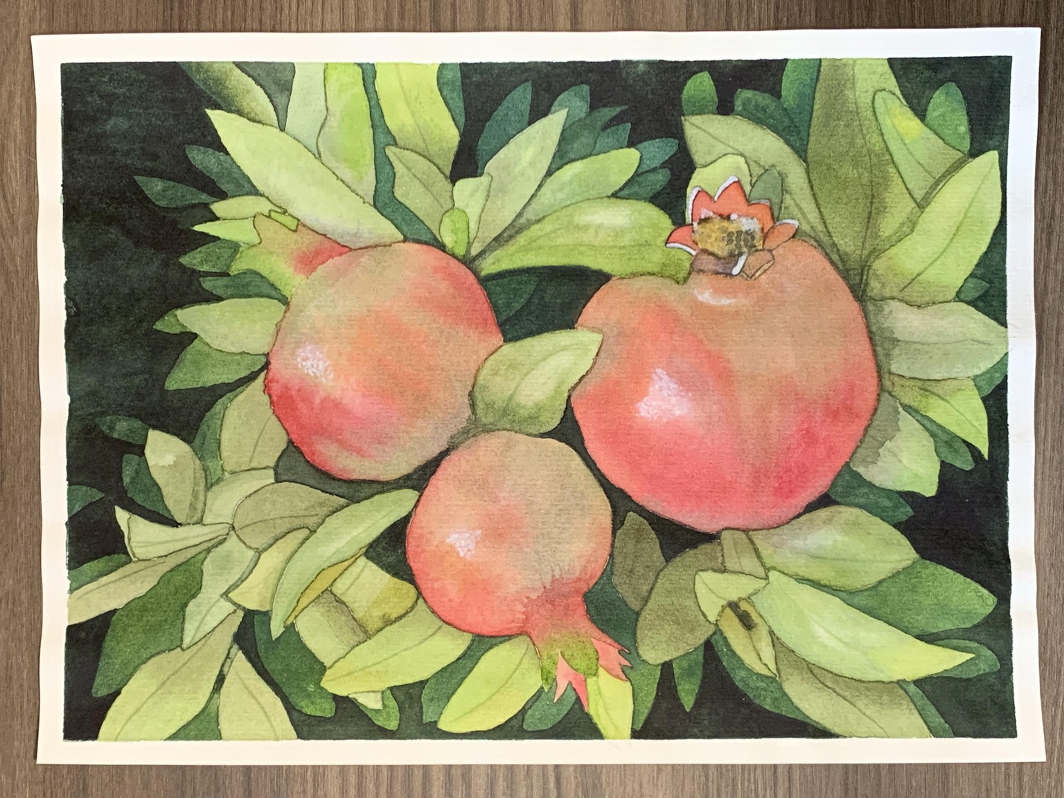 My pomegranate branch - image 1 - student project