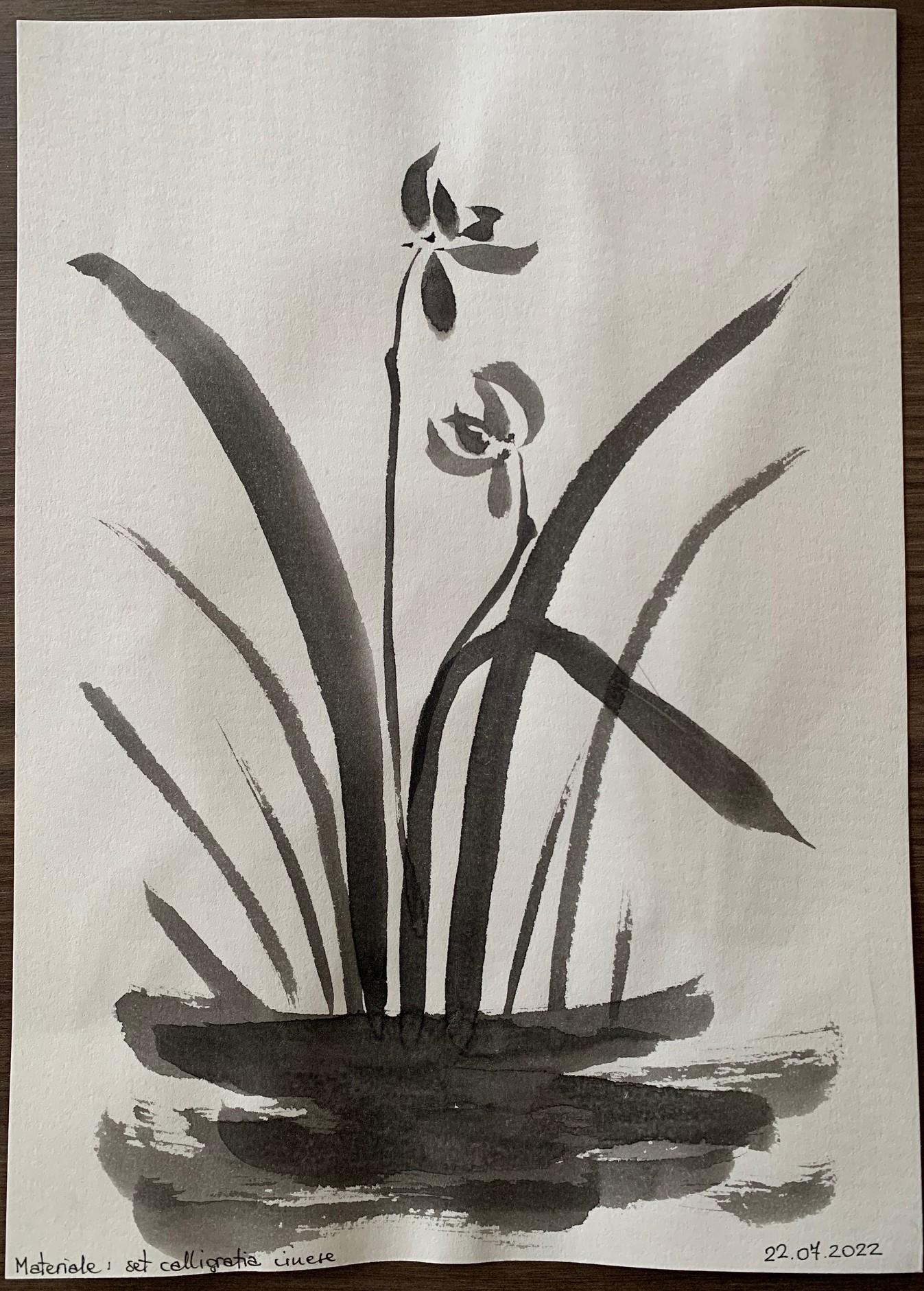 Bamboo and orchid - image 5 - student project