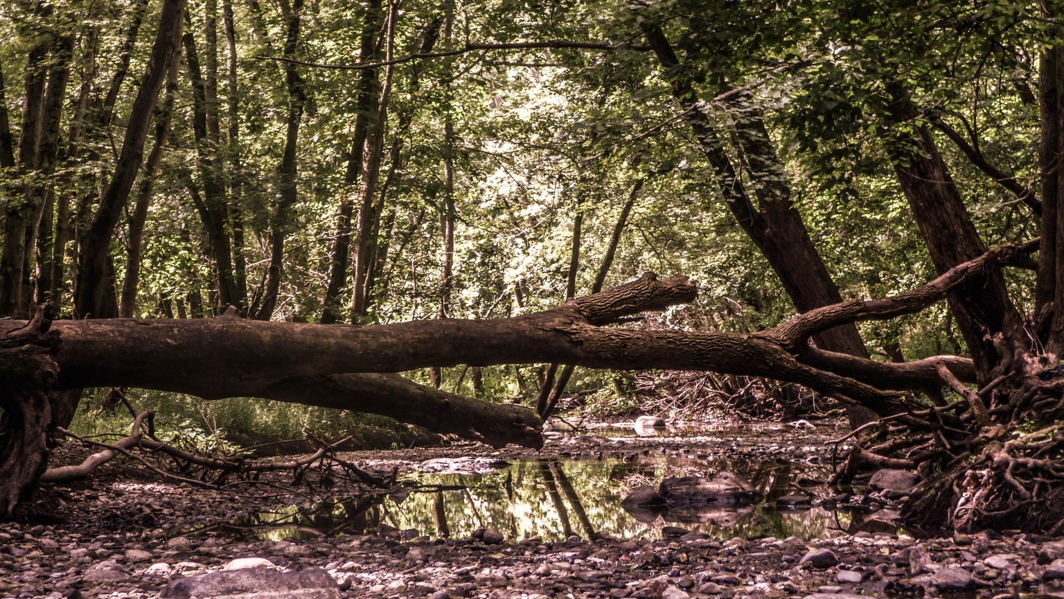 Reflected Shadow - the world between worlds - image 4 - student project