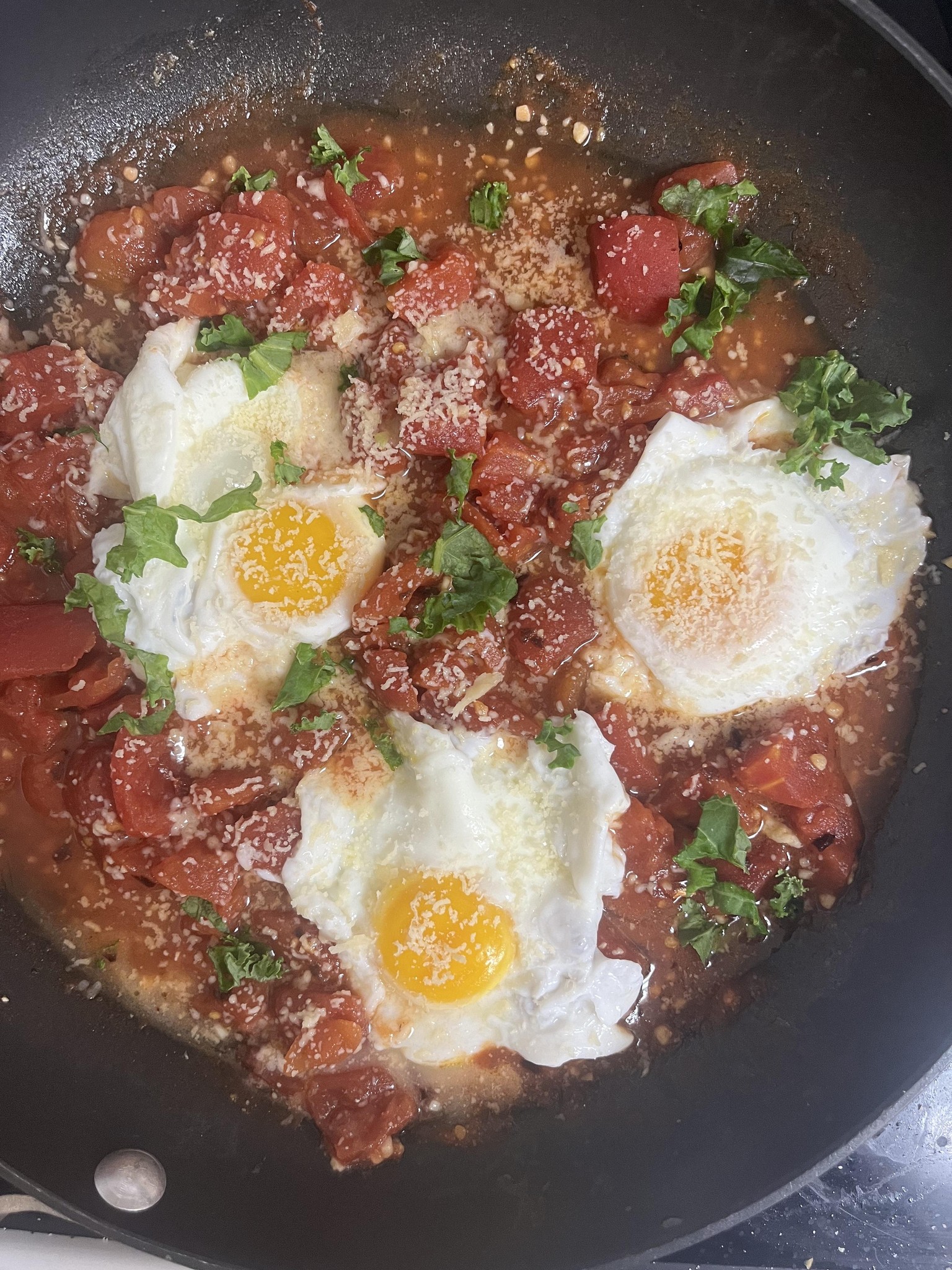 Eggs in Purgatory - image 1 - student project