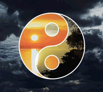 YinYang - image 1 - student project