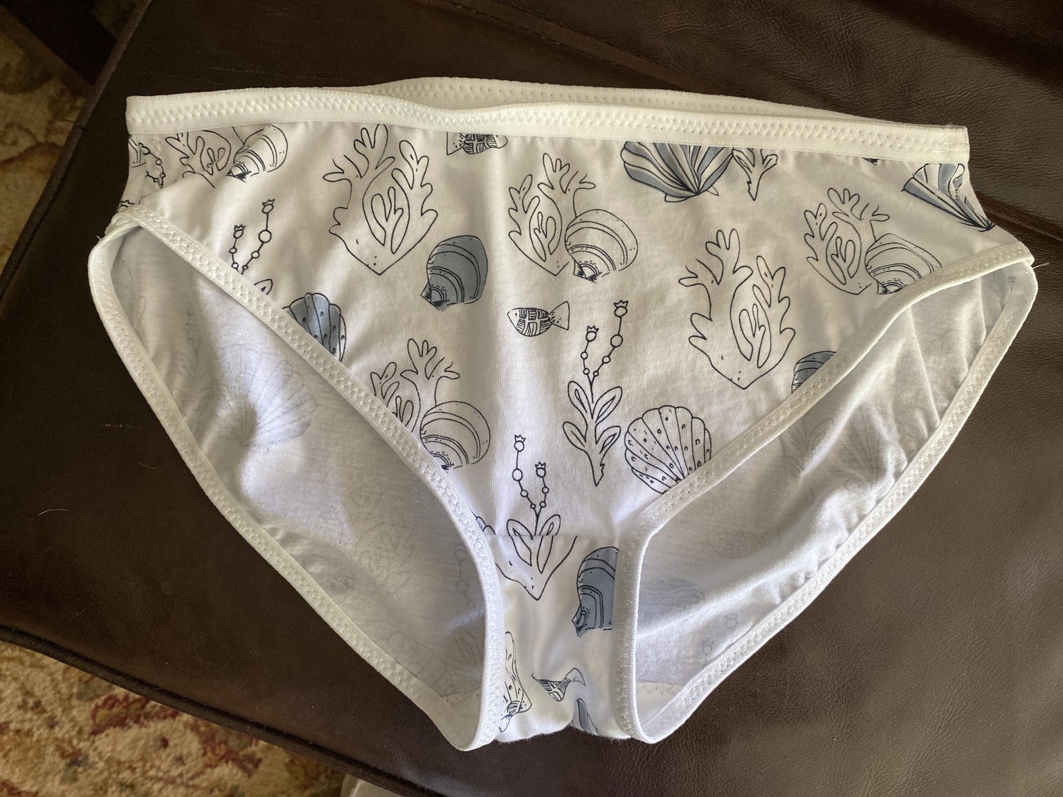 Seashell Panties - image 1 - student project
