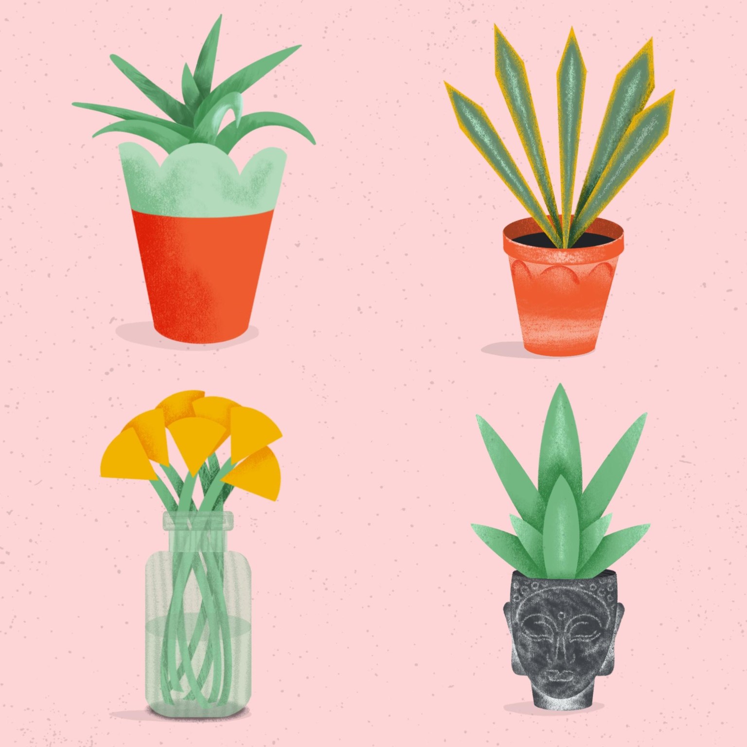 Plants, pots & a Buddha - image 1 - student project
