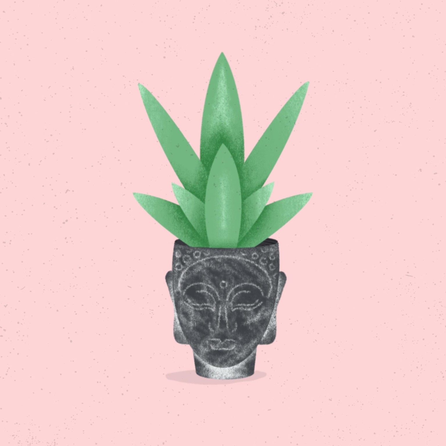 Plants, pots & a Buddha - image 3 - student project
