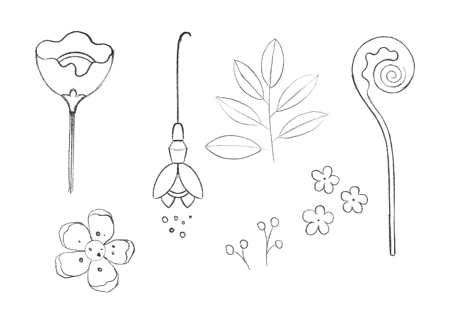 Illustrating A Botanical Composition: Florals In A Cup - image 10 - student project