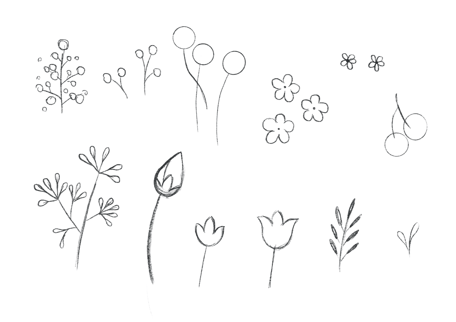 Illustrating A Botanical Composition: Florals In A Cup - image 6 - student project