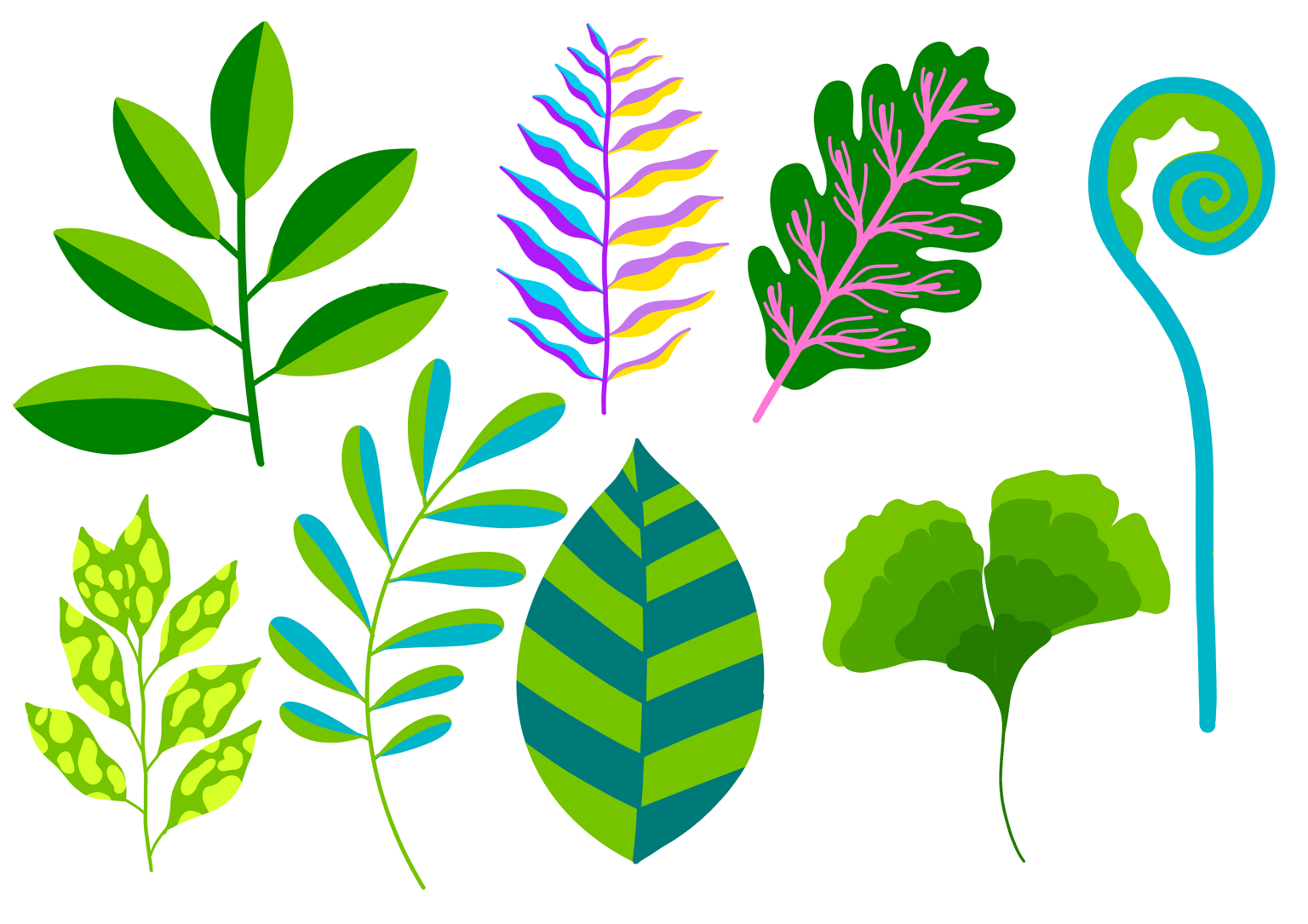 Illustrating A Botanical Composition: Florals In A Cup - image 8 - student project
