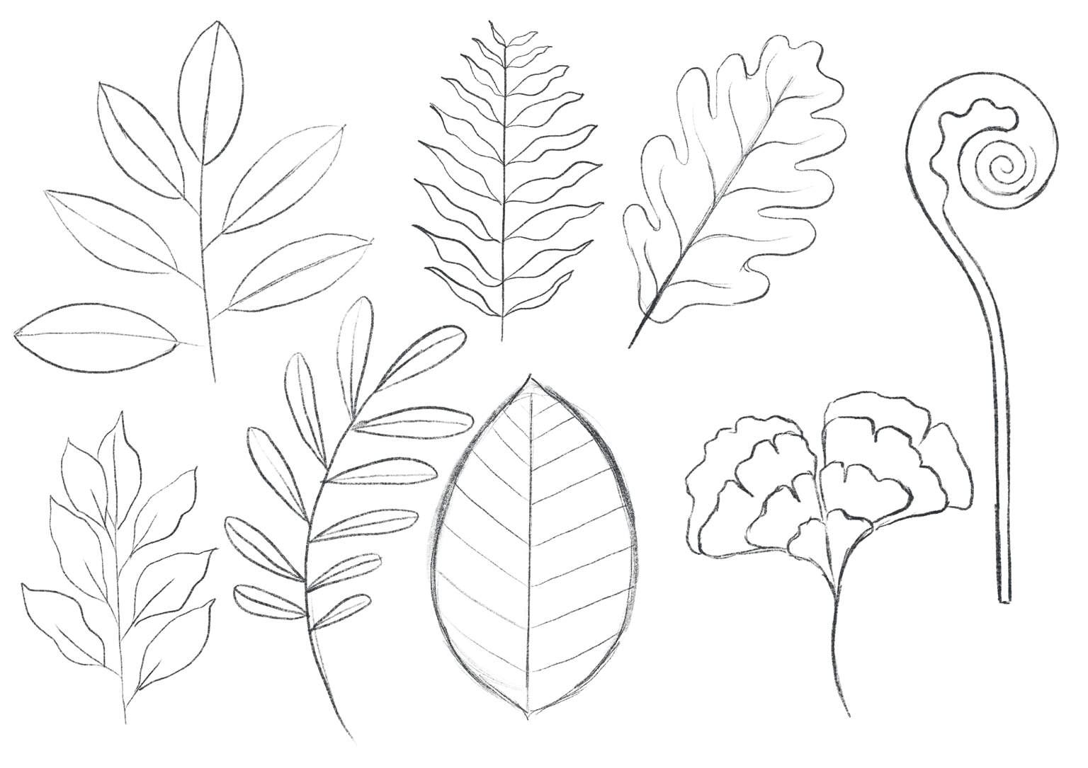Illustrating A Botanical Composition: Florals In A Cup - image 5 - student project