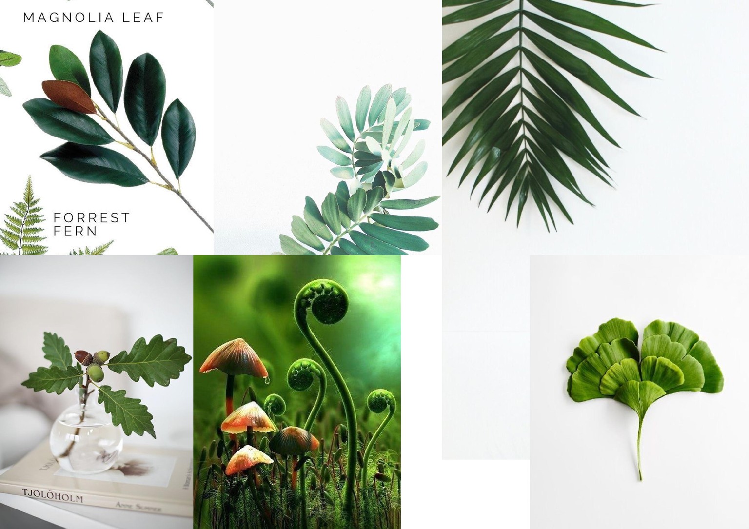 Illustrating A Botanical Composition: Florals In A Cup - image 2 - student project