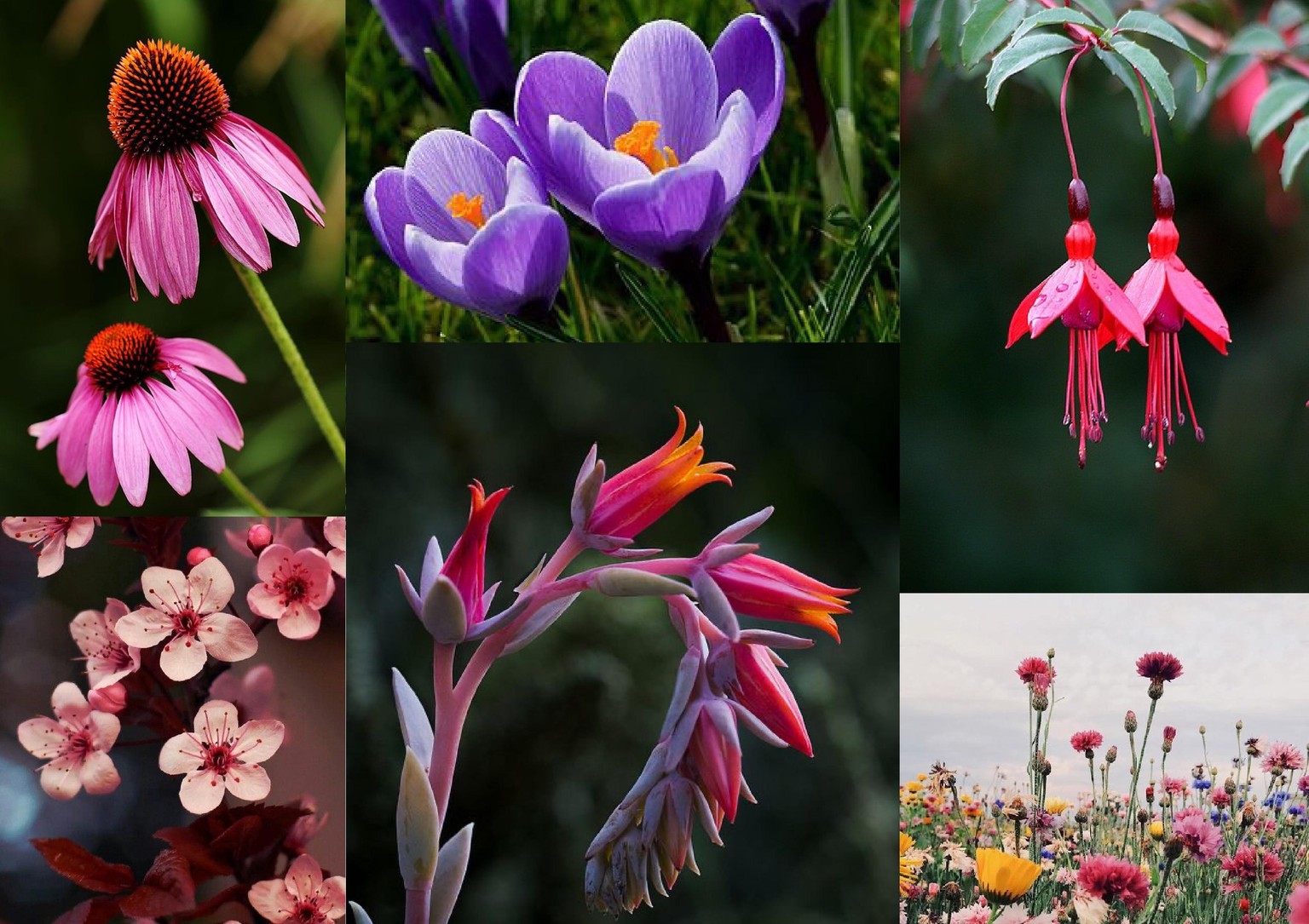 Illustrating A Botanical Composition: Florals In A Cup - image 1 - student project
