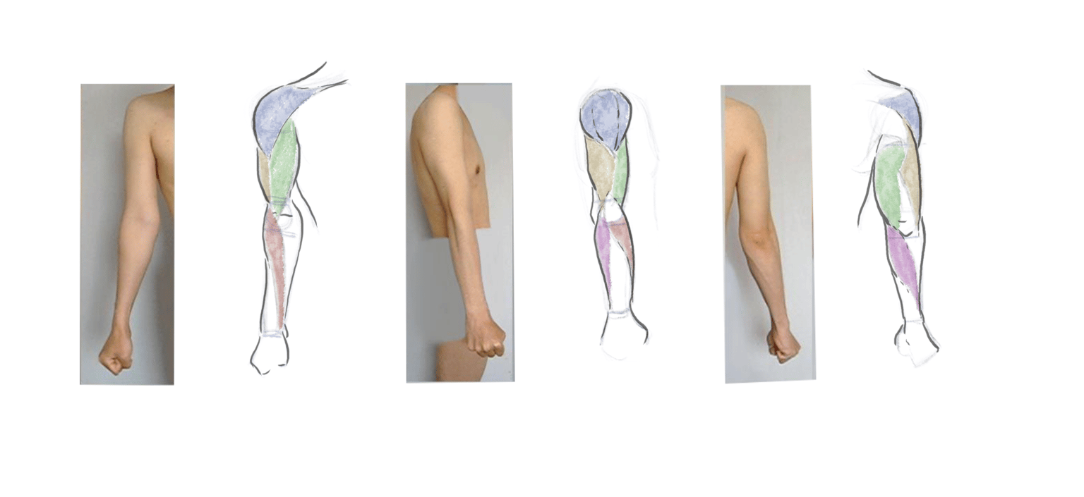 Course Projects - image 4 - student project