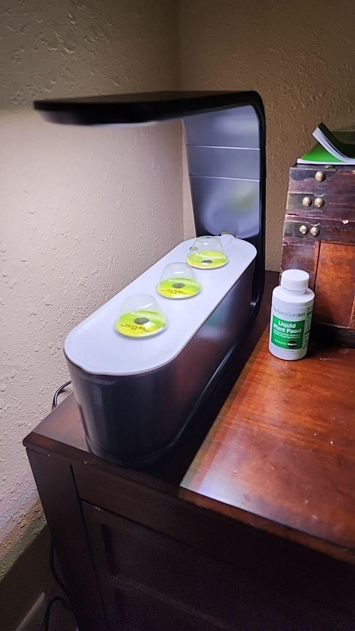 Hydroponic set up - image 1 - student project