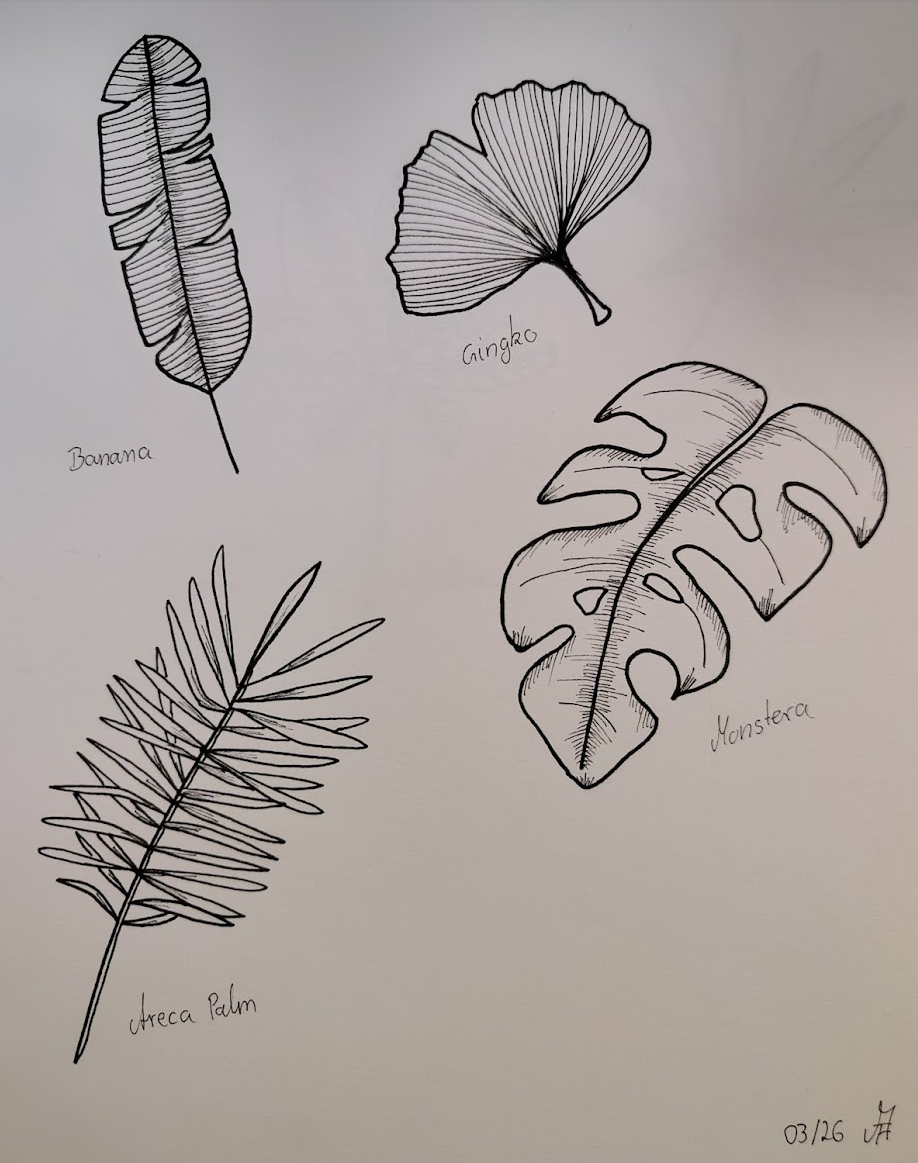 Just some leaves - image 1 - student project