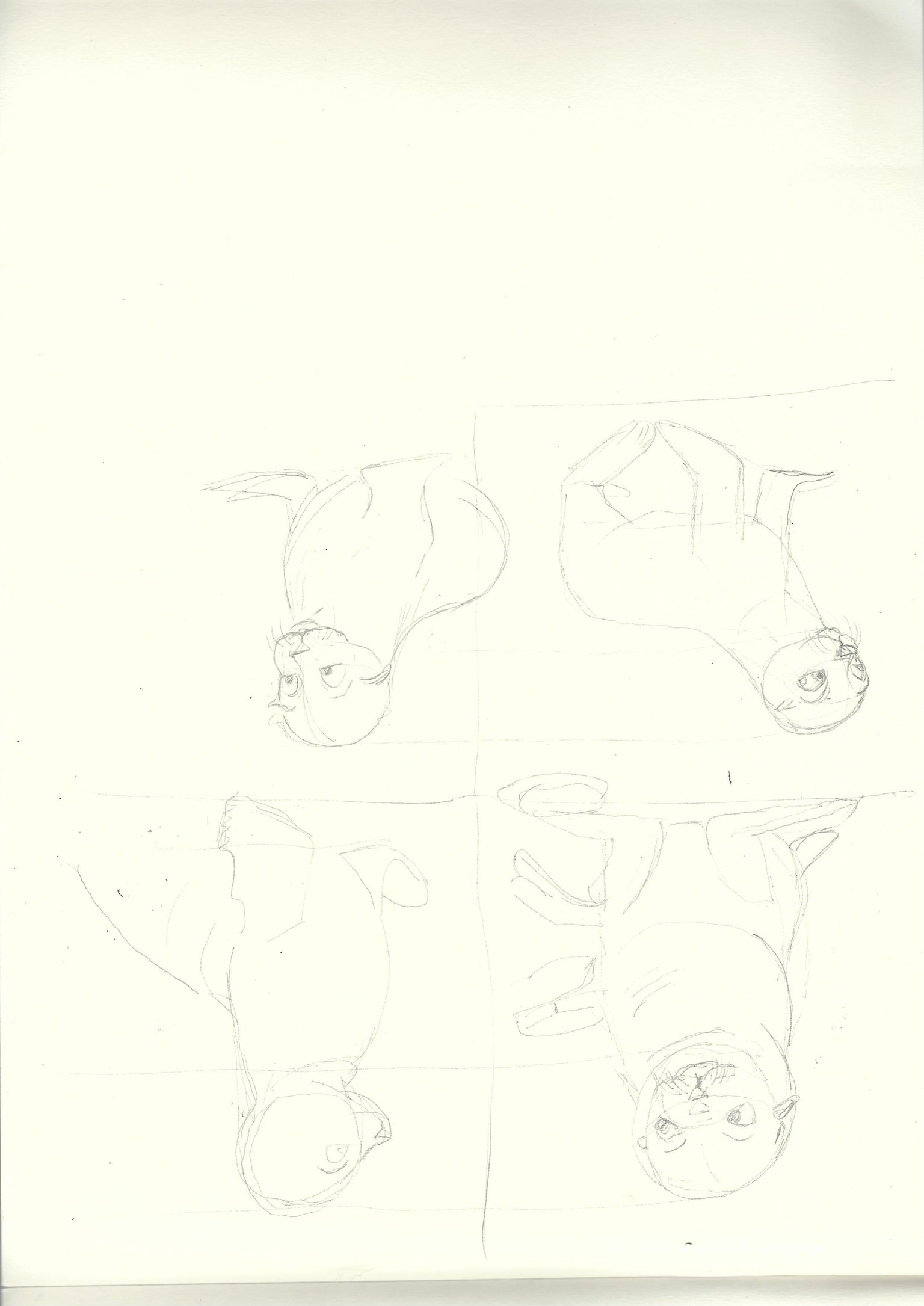 A book about a penquin - image 2 - student project