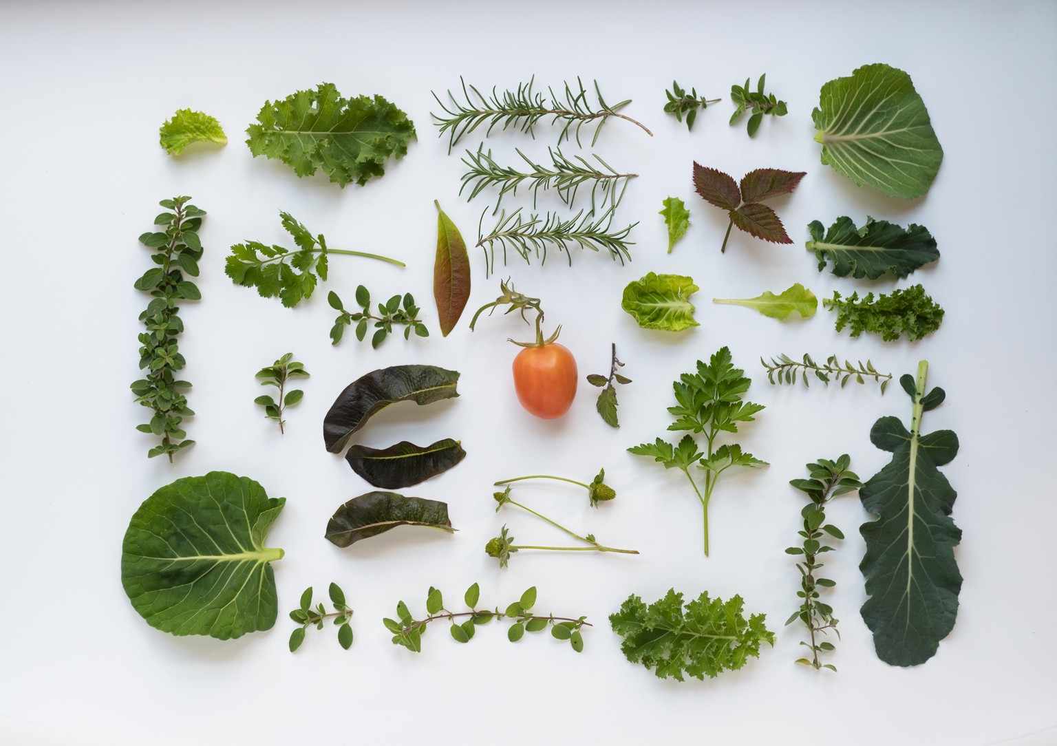 Winter Garden Flat Lay - image 1 - student project