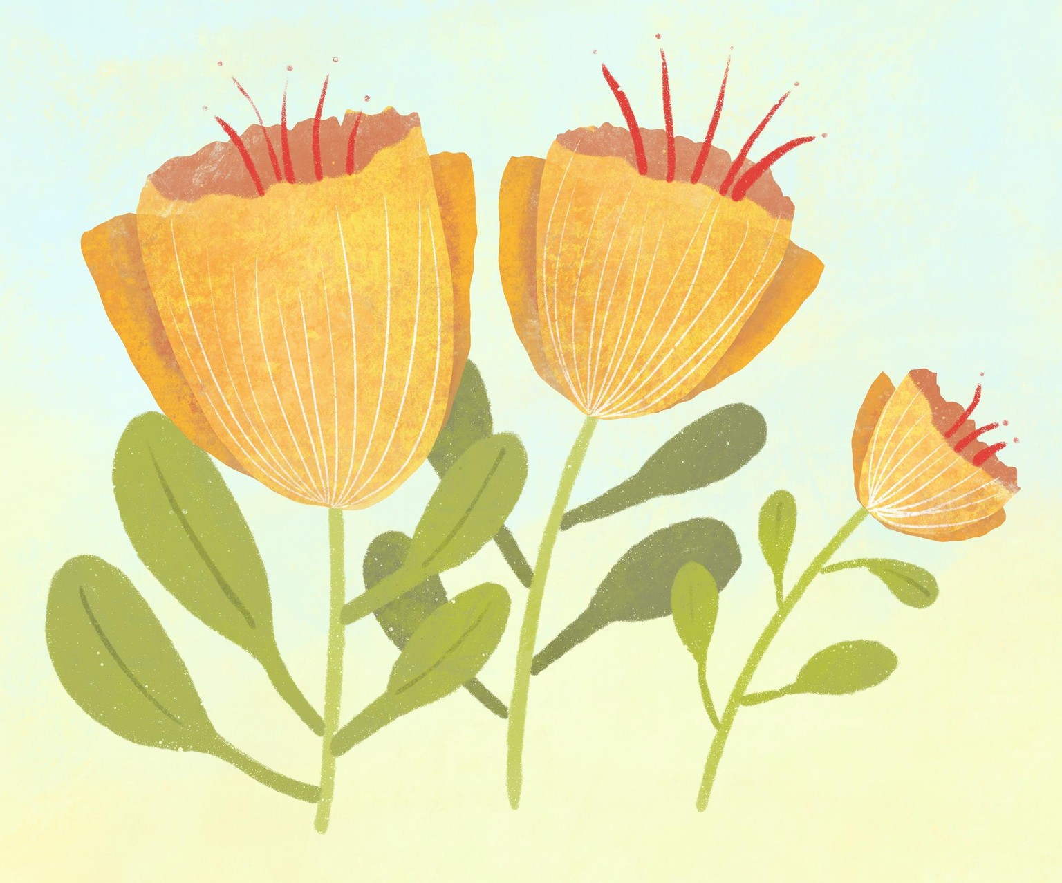 Yellow Tulips - image 5 - student project