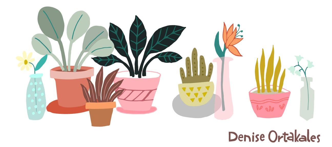 House Plants - image 1 - student project