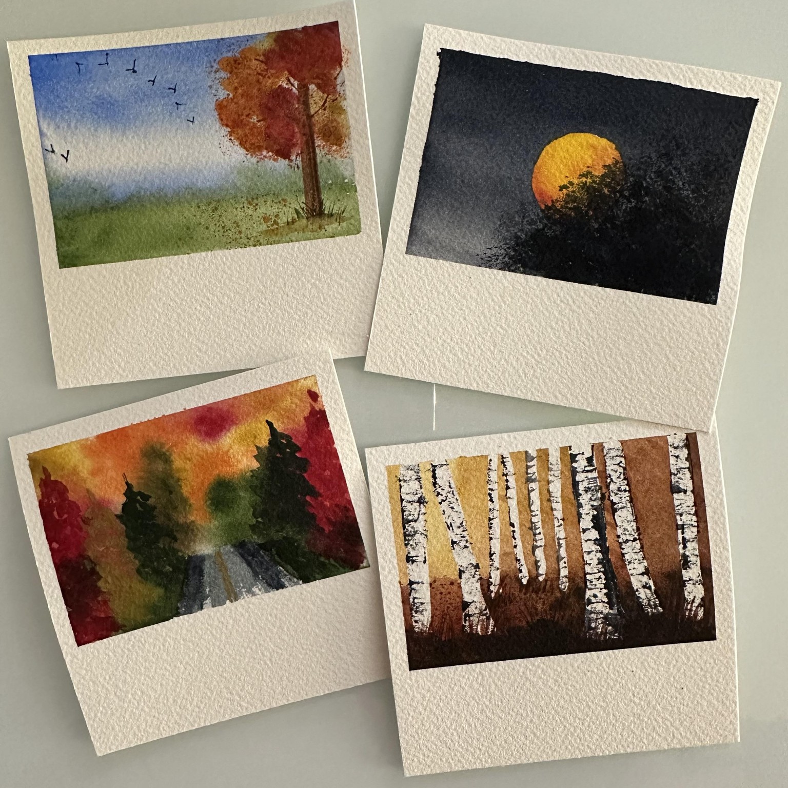 Autumn Poloroids - image 1 - student project