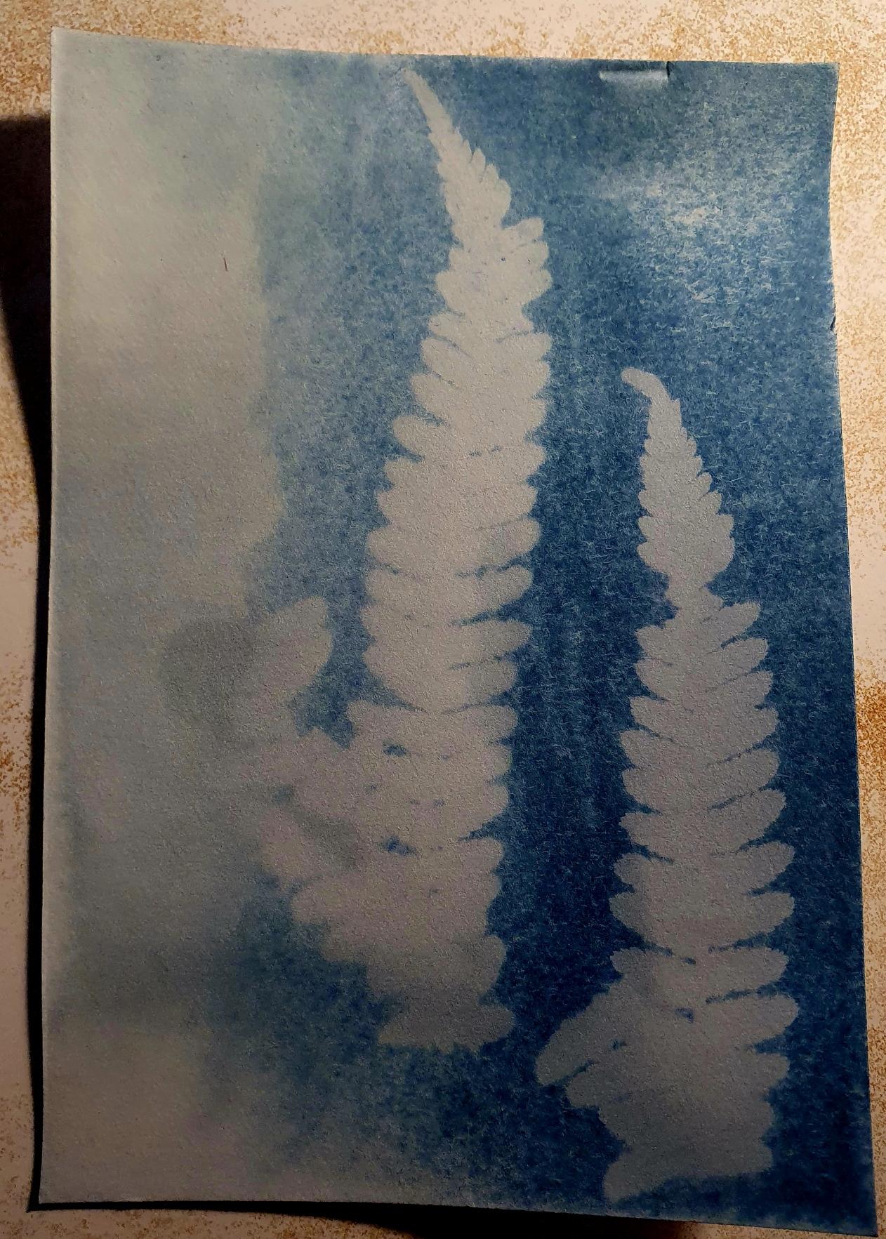 My first one :) - image 1 - student project