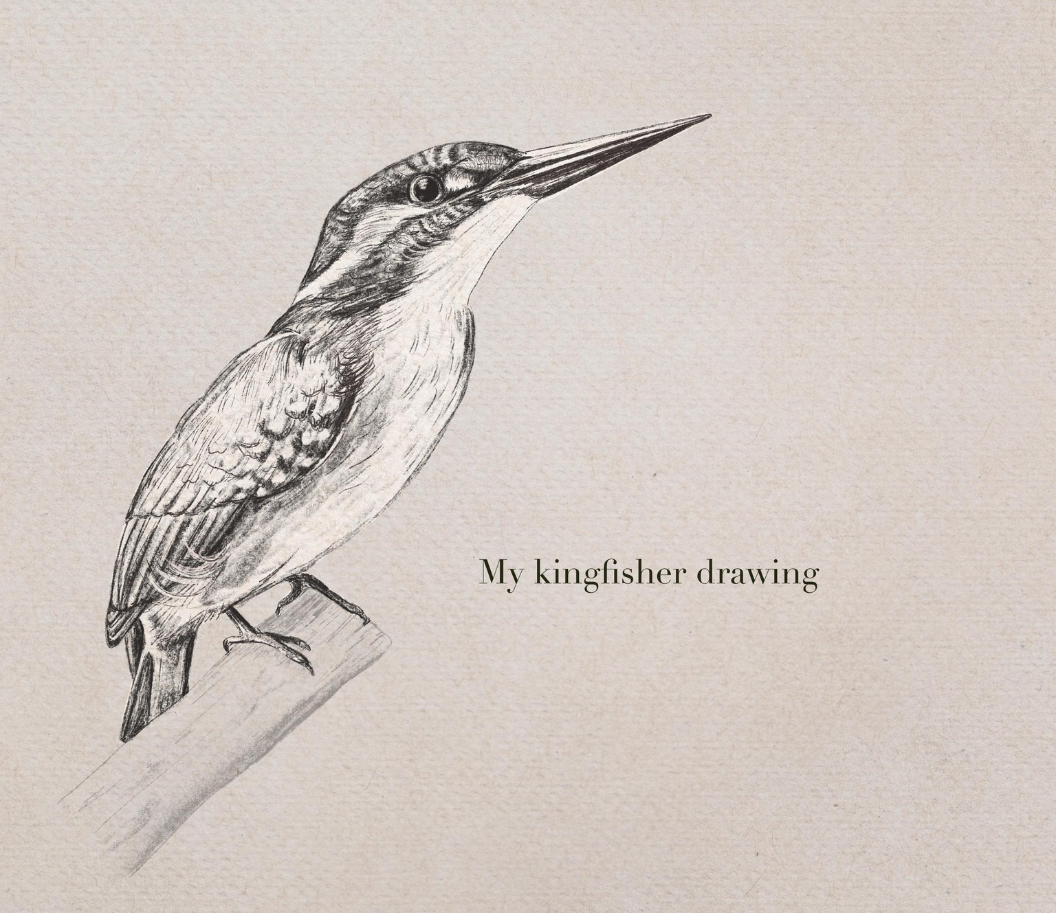 My kingfisher drawing. .. - image 1 - student project