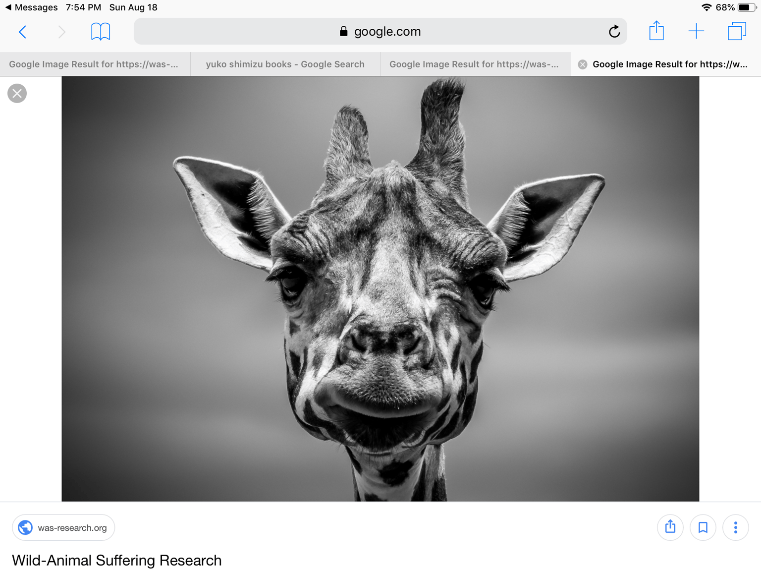 Giraffe - image 1 - student project