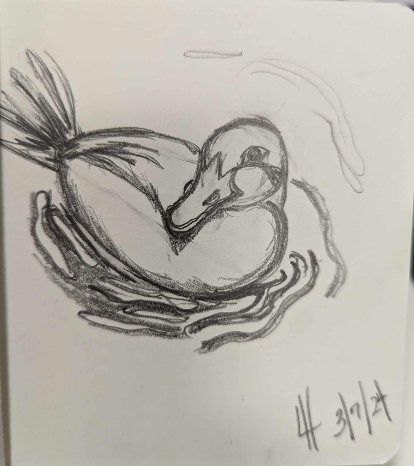 Duck - image 1 - student project