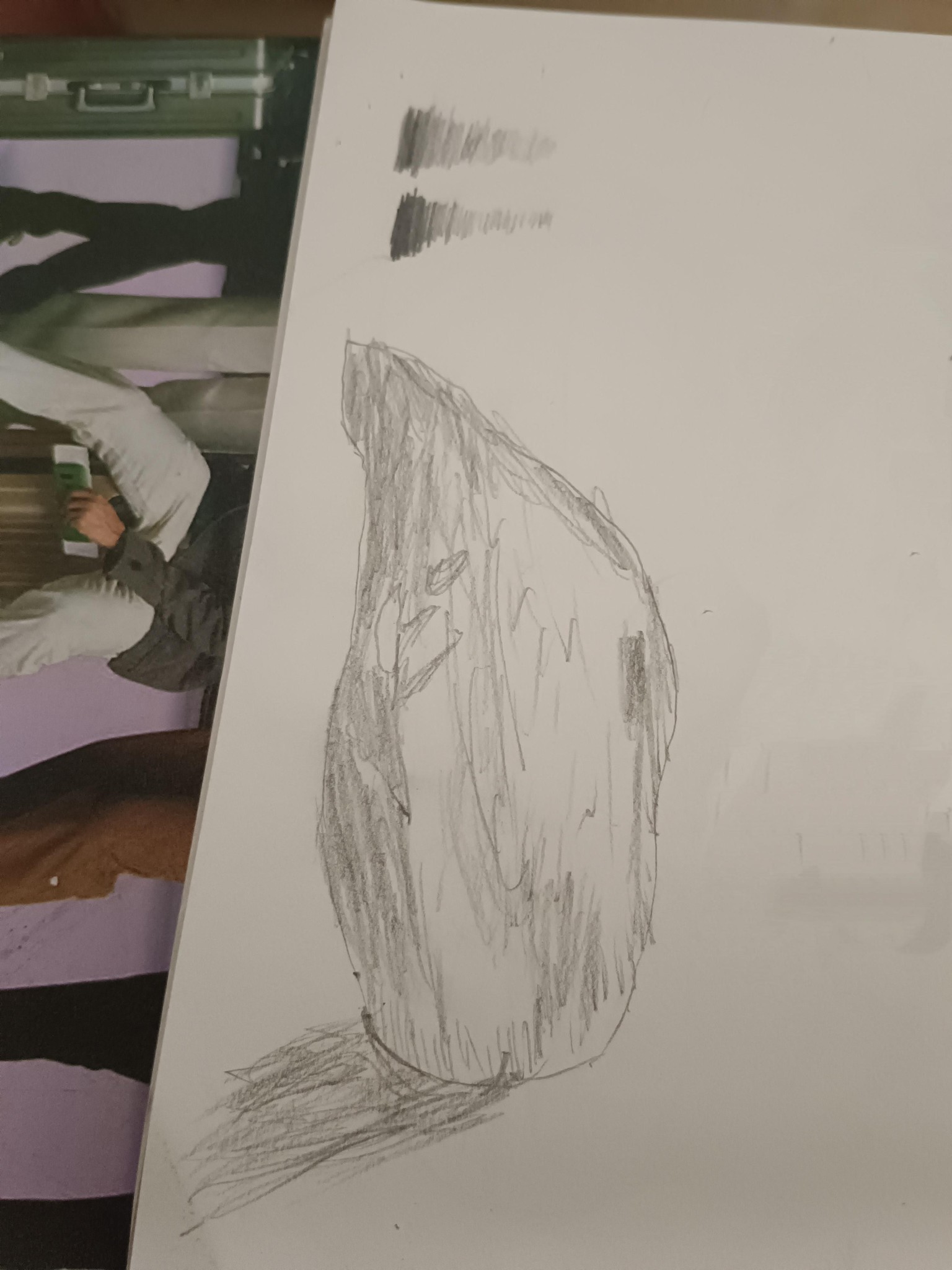My first contour drawing - image 1 - student project