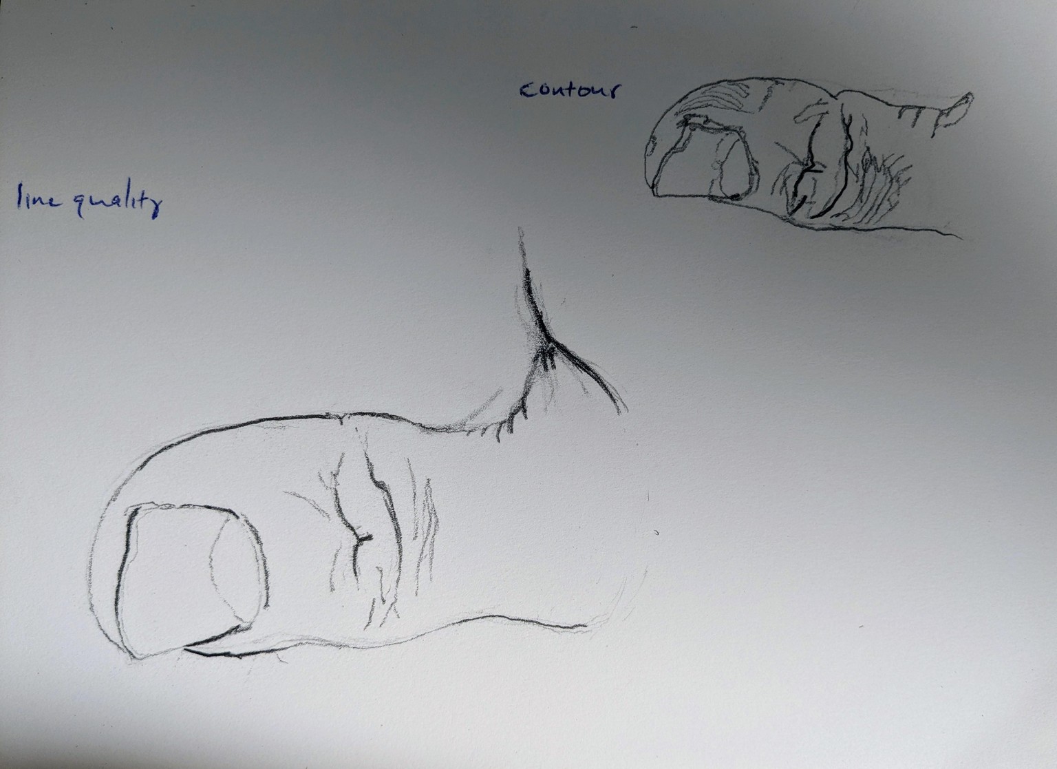 Thumb - image 1 - student project