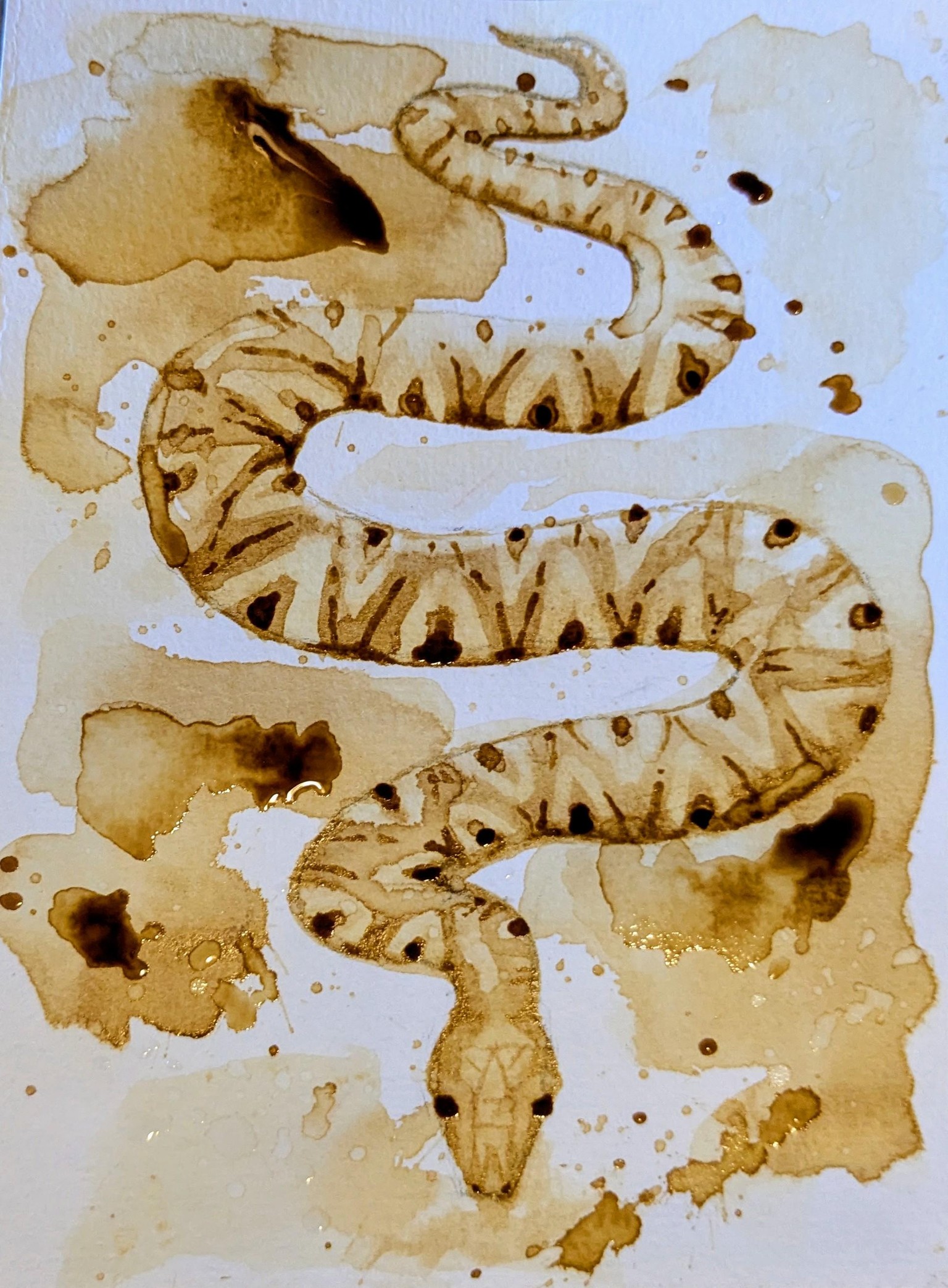 Coffee Snake - image 1 - student project