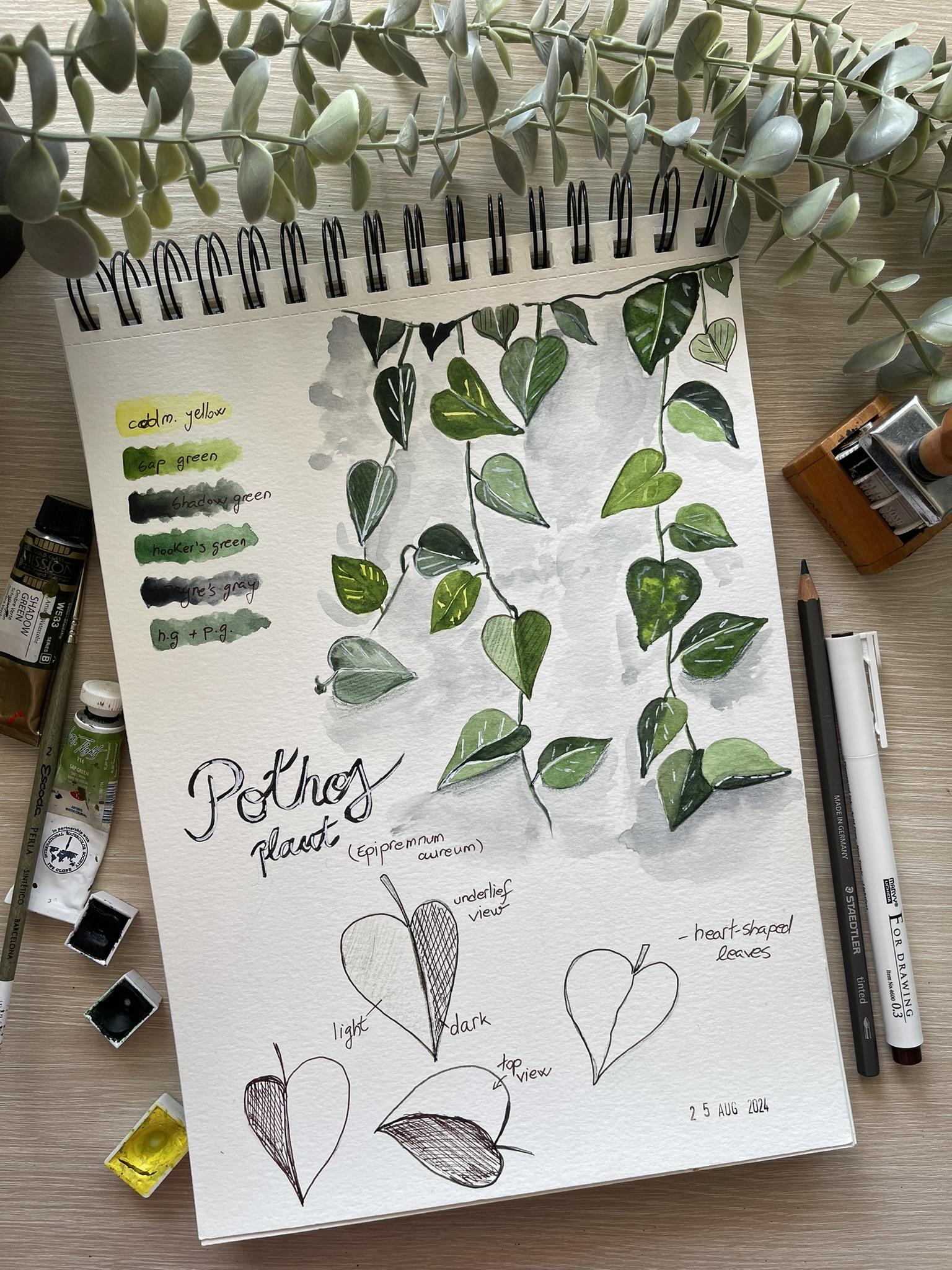 Pothos Plant - image 1 - student project