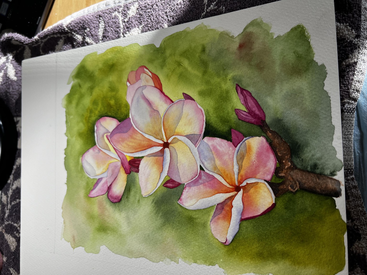 Frangipani - image 1 - student project