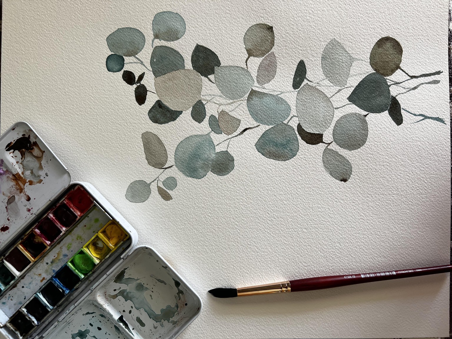 Eucalyptus practice - image 1 - student project