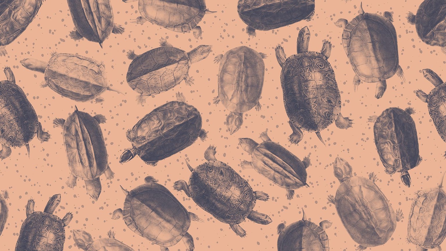 Vintage Patterns (Sample Project) - image 1 - student project